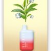 ELF BAR BC2000 Disposable Ice Tea 2000 pust 850 mAh